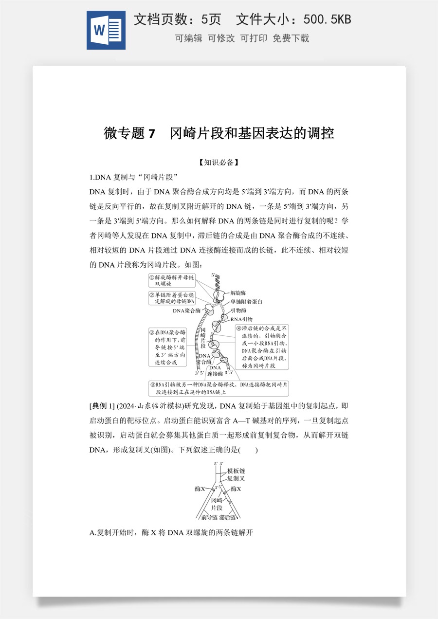 高中-高考总复习-生物-微专题7　冈崎片段和基因表达的调控.doc